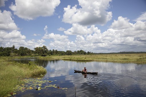 Malaria-in-Guyana