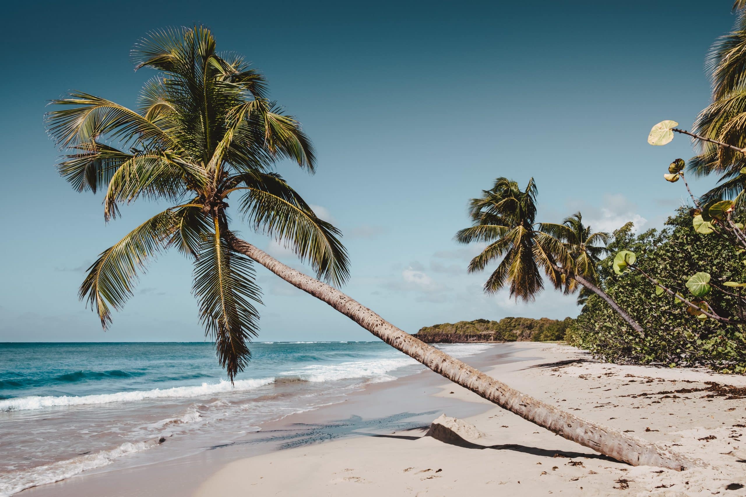 martinique beach
